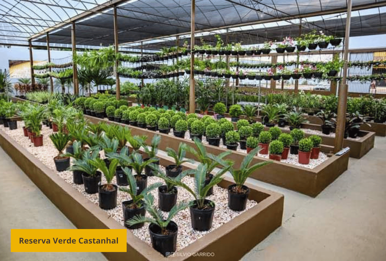 Reserva Verde Salinópolis (2)